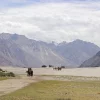 Ladakh en famille