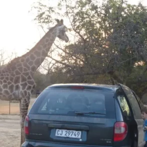 Voyage en famille Afrique du Sud