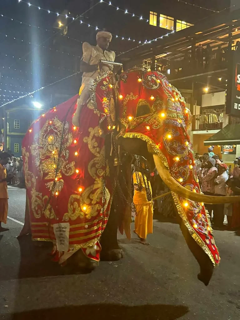 4 semaines en tuk-tuk au Sri Lanka