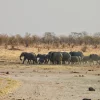 Safari, culture et grands espaces au Zimbabwe