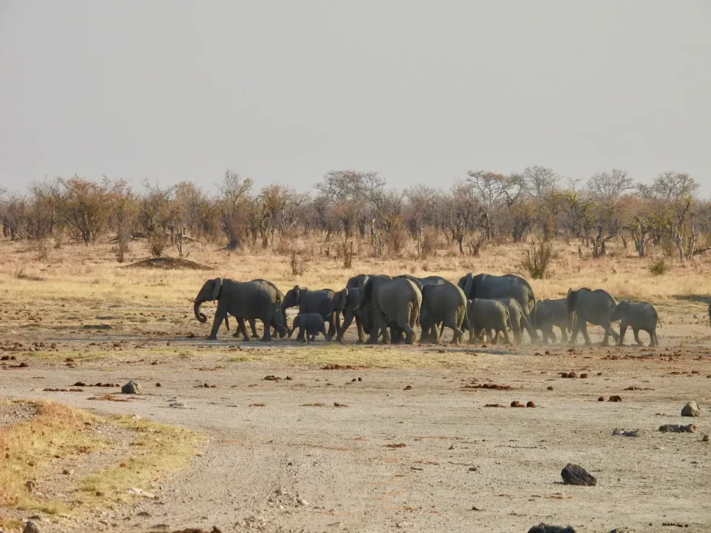 Zimbabwe en famille