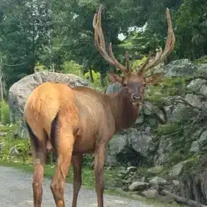 Parc omega en famille avis