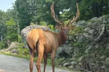 Parc omega en famille avis