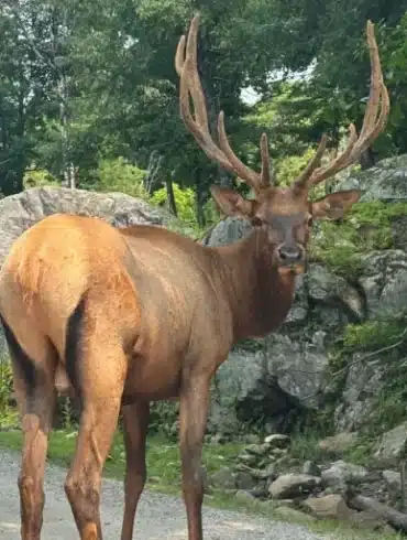 Parc omega en famille avis