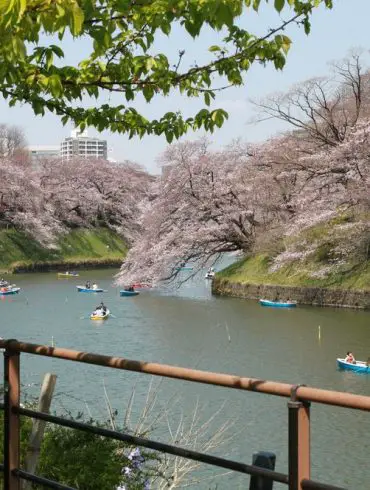 Road-trip autour de Tokyo d'une famille nombreuse