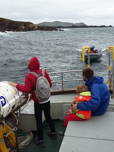 Croisière à Dingle Bay en Irlande