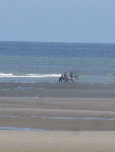 Balade au Touquet en famille